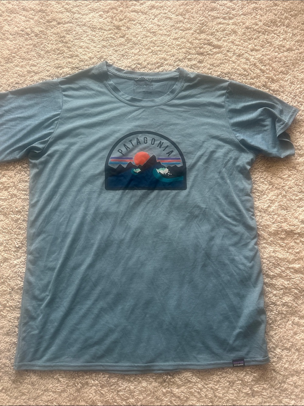 Patagonia Light Blue Graphic Crew Tee with Sunset Mountain Print Women's L